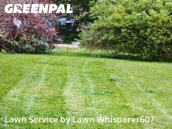 Grass Cutting nearby Binghamton, NY, 