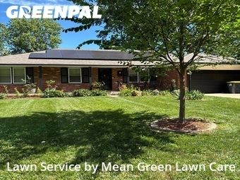 Grass Cut nearby Blue Springs, MO, 
