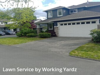 Lawn Cut nearby Renton, WA, 