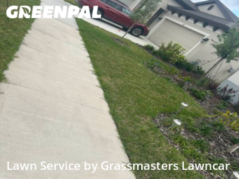 Lawn Cut nearby Dunedin, FL, 