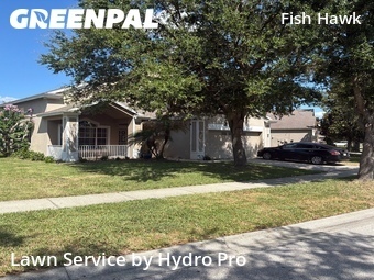 Yard Cutting nearby Lithia, FL, 