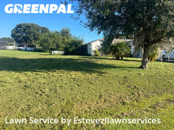 Grass Cut nearby Kissimmee, FL, 