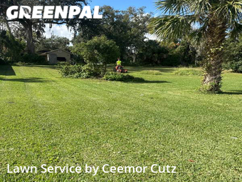 Lawn Mow nearby Daytona Beach, FL, 