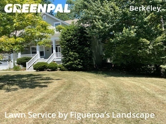 Grass Cut nearby Cary, NC, 