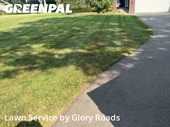 Grass Cut nearby Livonia, MI, 