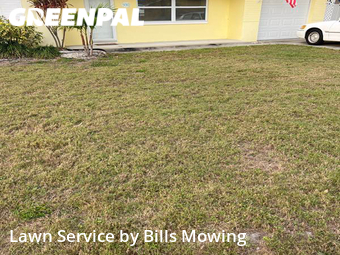 Lawn Maintenance nearby Largo, FL, 
