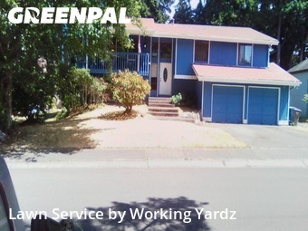 Yard Cutting in Federal Way, 98003, Lawn Work by Working Yardz, work completed in Nov , 2025