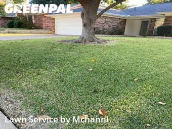 Lawn Care Service nearby Fort Worth, TX, 
