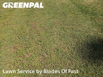 Lawn Service nearby Atlanta, GA, 