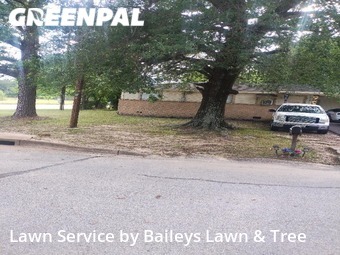 Grass Cut nearby Tyler, TX, 
