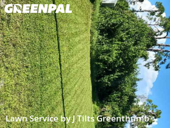 Grass Cut nearby Port Charlotte, FL, 