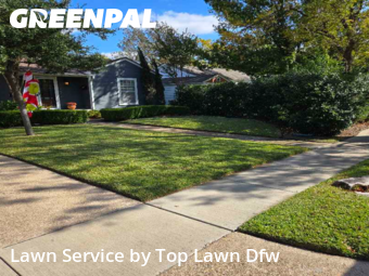 Lawn Care nearby Dallas, TX, 