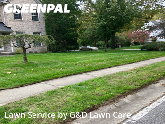 Grass Cut nearby Bear, DE, 