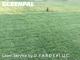 Lawn Mowing Service nearby Riverbank, CA, 