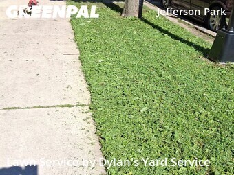 Lawn Service nearby Chicago, IL, 