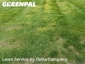 Lawn mowed in Bowling Green, 42104