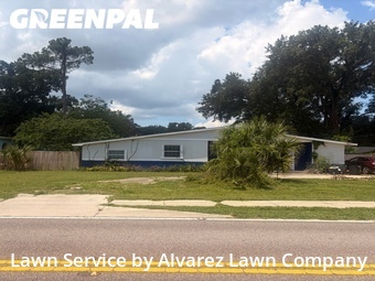 Grass Cutin Altamonte Springs,32701,Yard Cutting by Alvarez Lawn Company, work completed in Jul , 2026