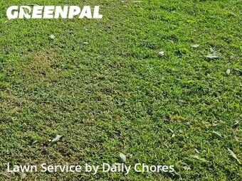 Lawn Care nearby Wichita Falls, TX, 