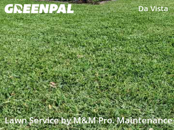 Lawn Cutting nearby St. Petersburg, FL, 