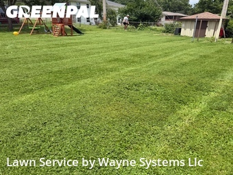 Grass Cut nearby Columbia, MO, 