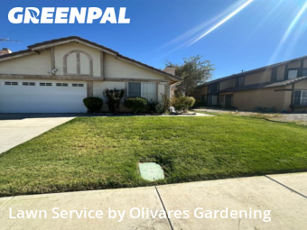 Work completed by lawn-care-experts-near-me-in-Lancaster-CA