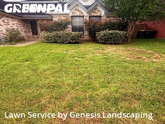 Lawn Carein Pearland,77584,Lawn Service by Genesis Landscaping, work completed in Jun , 2026