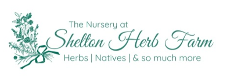 Best Nursery in Wilmington North Carolina 4