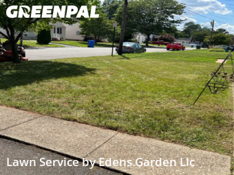 Grass Cut nearby Woodbridge Township, NJ, 