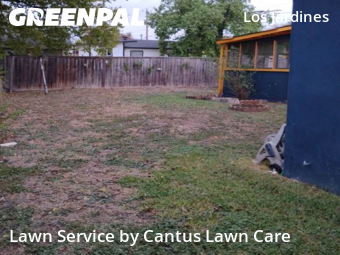 Lawn Mow nearby San Antonio, TX, 
