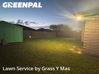 Landscape Design In Brownsville,78526,Landscaping Renovation by Grass Y Mas , work completed in Nov , 2025