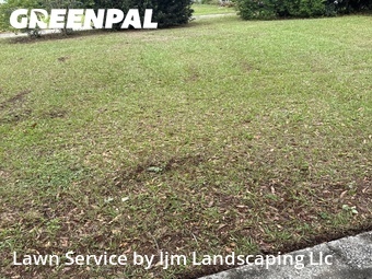 Grass Cut nearby Orlando, FL, 