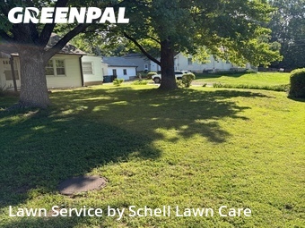 Yard Cutting nearby St. Louis, MO, 