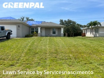 Lawn Mow nearby Cape Coral, VA, 