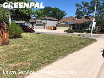 Grass Cutting nearby Arvada, CO, 
