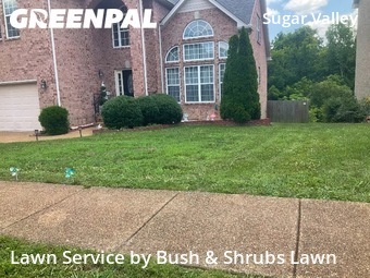Lawn Care Servicein Nashville,37211,Yard Mowing by Bush & Shrubs Lawn, work completed in Jul , 2026