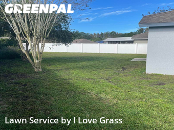 Lawn Maintenance nearby Wesley Chapel, FL, 