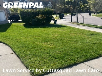 Lawn Care Service nearby Virginia Beach, VA, 