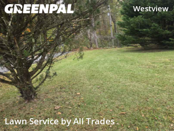 Lawn Service nearby College Park, GA, 