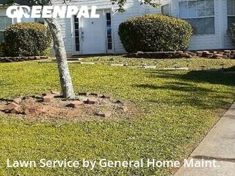 Grass Cut nearby Stone Mountain, GA, 