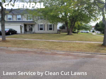 Yard Mowing nearby Carpentersville, IL, 