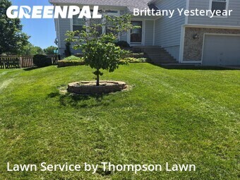 Lawn Cuttingin Olathe,66061,Lawn Mow by Thompson Lawn, work completed in Jun , 2026