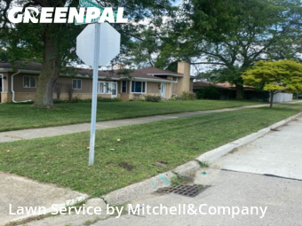 Grass Cut nearby Westland, MI, 