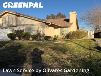 affordable-lawn-services-in-Florence Graham-CA