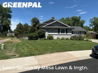 Yard Cutting nearby Centennial, CO, 