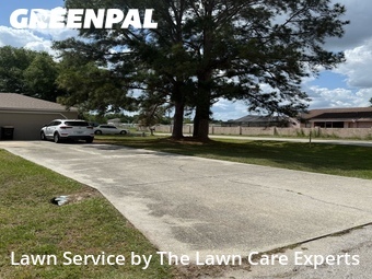 Yard Cutting nearby Winter Haven, FL, 
