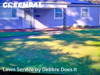 Backyard Mowing in Portsmouth, 23702, Turf Services by Debbie Does It, work completed in Nov , 2025