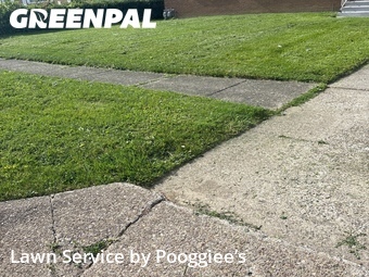 Lawn Cut nearby Buffalo, NY, 
