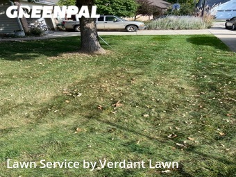 Lawn Service nearby Fort Collins, CO, 