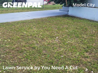 Lawn Maintenance nearby Miami, FL, 