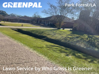 Turf Services in Baton Rouge, 70819, Yard Upkeep by Who Grass Is Greener, work completed in Nov , 2025